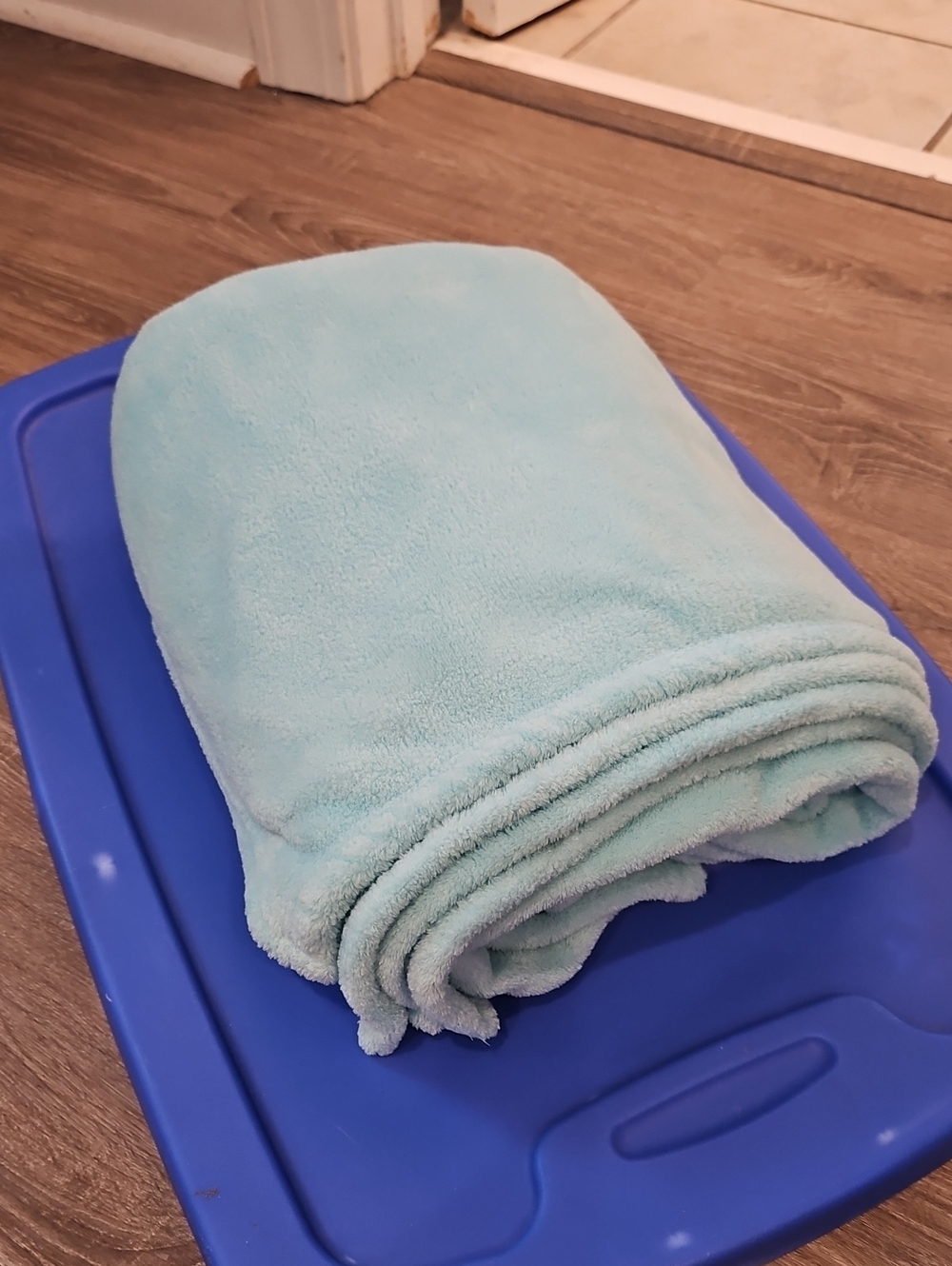 Light SeaFoam Green Plush Throw Blanket